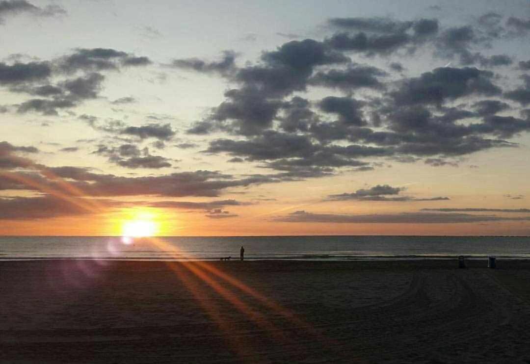 Mediterrania Marina Sagunto Kültér fotó