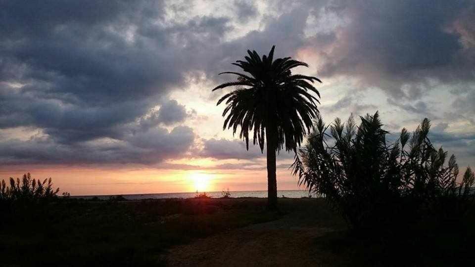 Mediterrania Marina Sagunto Szoba fotó