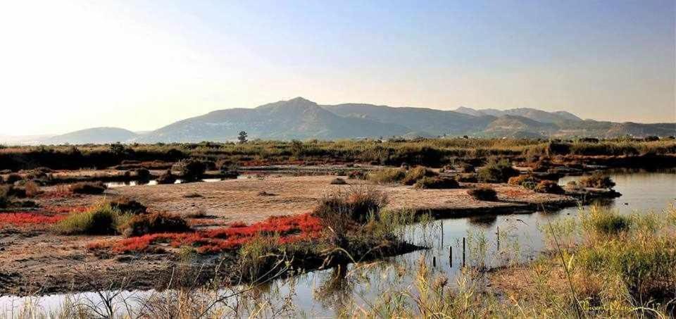 Mediterrania Marina Sagunto Szoba fotó